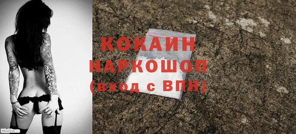 ПСИЛОЦИБИНОВЫЕ ГРИБЫ Нея
