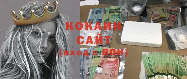 ПСИЛОЦИБИНОВЫЕ ГРИБЫ Нея