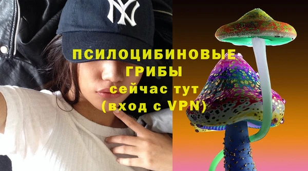 ПСИЛОЦИБИНОВЫЕ ГРИБЫ Нея