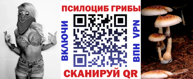 Галлюциногенные грибы GOLDEN TEACHER  наркота  Стрежевой 